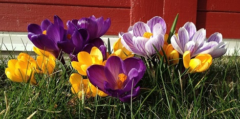 IMG_9521 IMG_9521